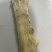 水煮牛板筋，精修去油全熟，牛板筋，大公牛牛板筋