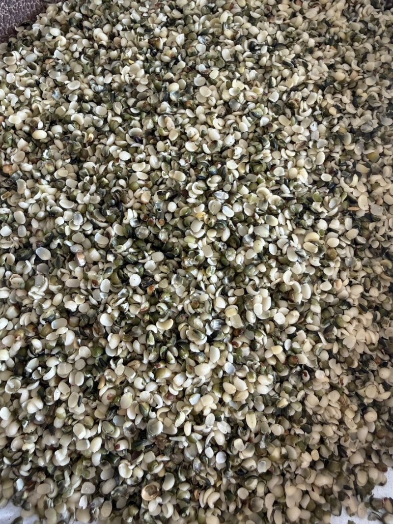 现货火麻仁大货各种规格批量批发货源稳定长期供货量大从优