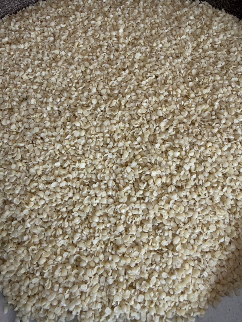 现货火麻仁大货各种规格批量批发货源稳定长期供货量大从优