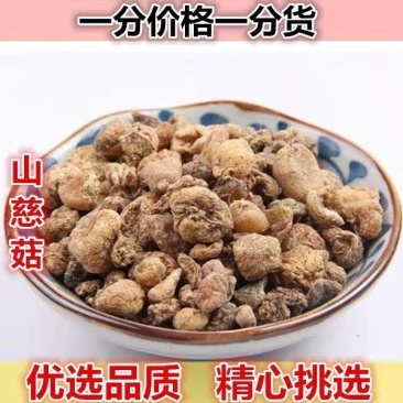中药材山慈菇光慈菇白慈菇毛慈菇冰球子老鸦头棉花包批发零售