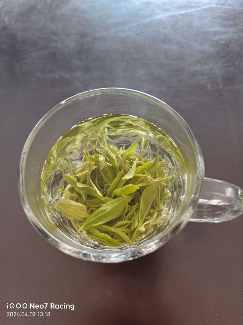 云南绥江高山绿茶