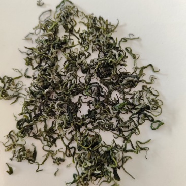 云南绥江高山绿茶