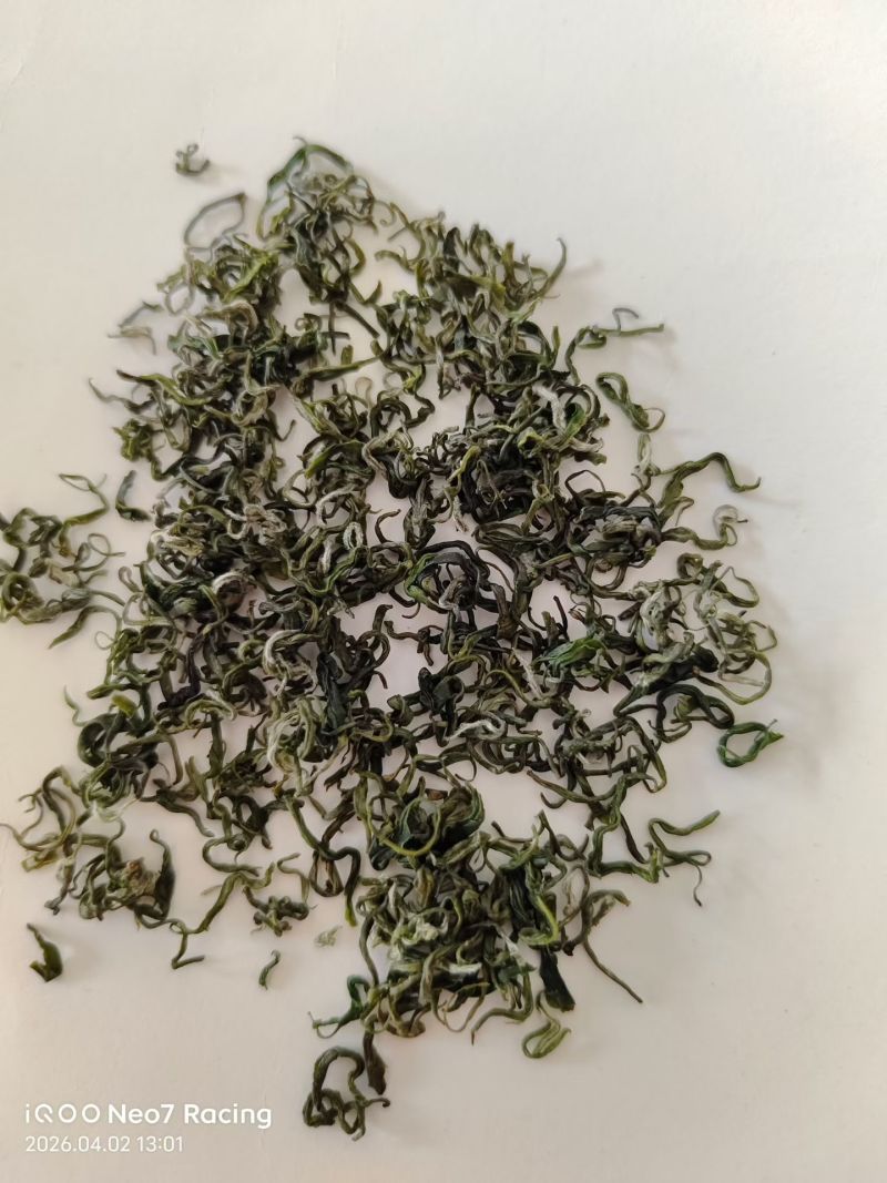 云南绥江高山绿茶