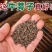 牛蒡子只做好药材、正品有保障