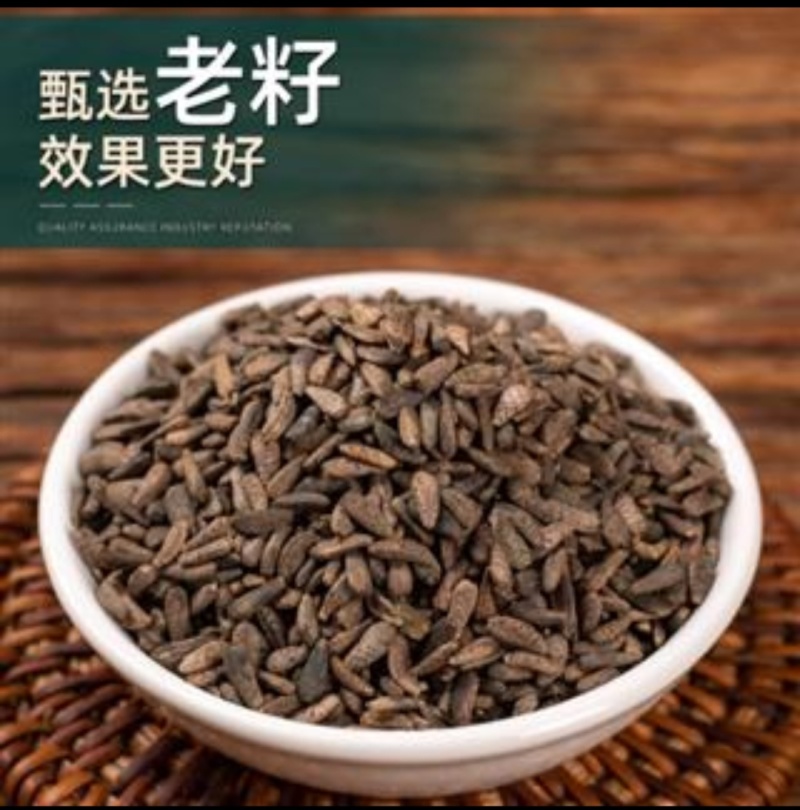 牛蒡子只做好药材、正品有保障
