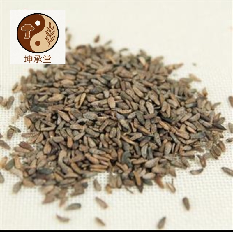 牛蒡子只做好药材、正品有保障