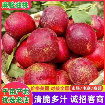 山西运城麻脸油桃脆甜多汁产地直供量大价优市场电商可代发