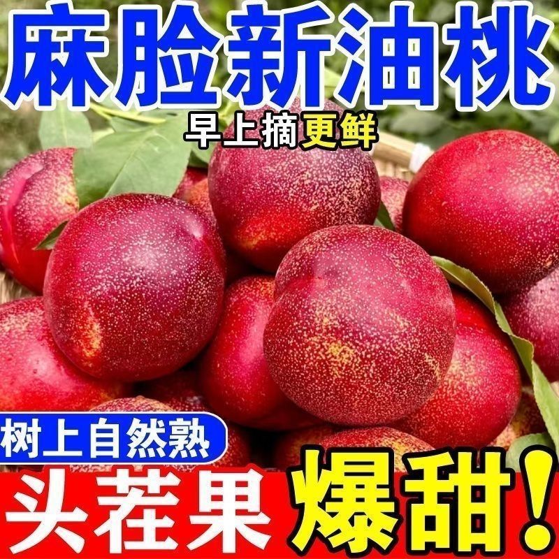 山西运城麻脸油桃脆甜多汁产地直供量大价优市场电商可代发