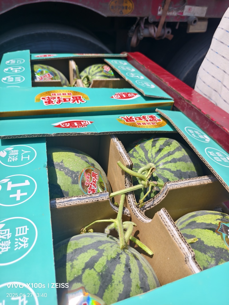 【优选】美都西瓜品质保证甜度高货发全国欢迎联系