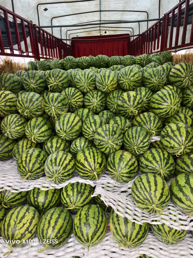 【优选】美都西瓜品质保证甜度高货发全国欢迎联系