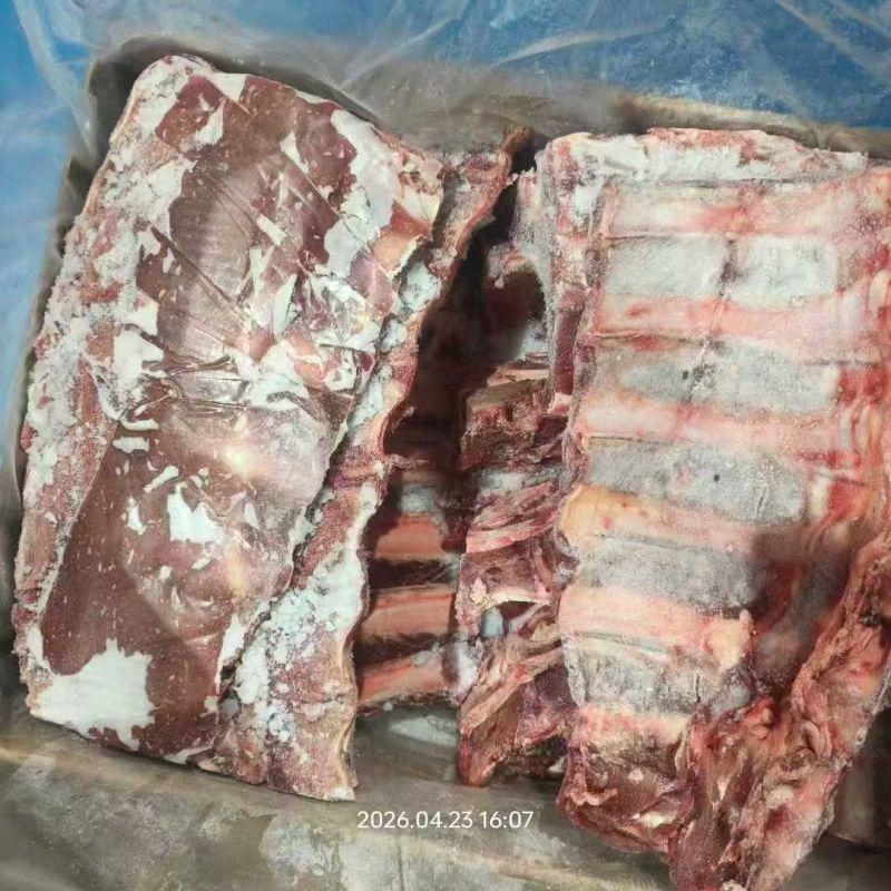 牛肋眼骨
