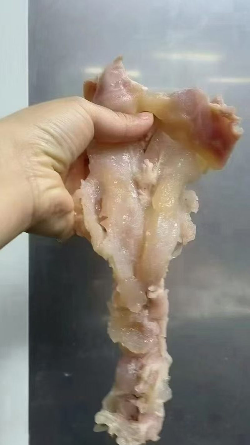 全熟牛蹄筋