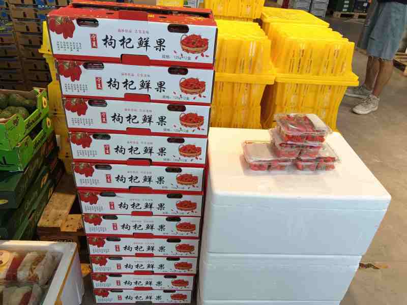 红枸杞鲜果大量供应中规格齐全品质好产地直发包邮到家