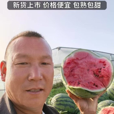 8424西瓜，大量上市，基地直供，诚信经营诚实报价。
