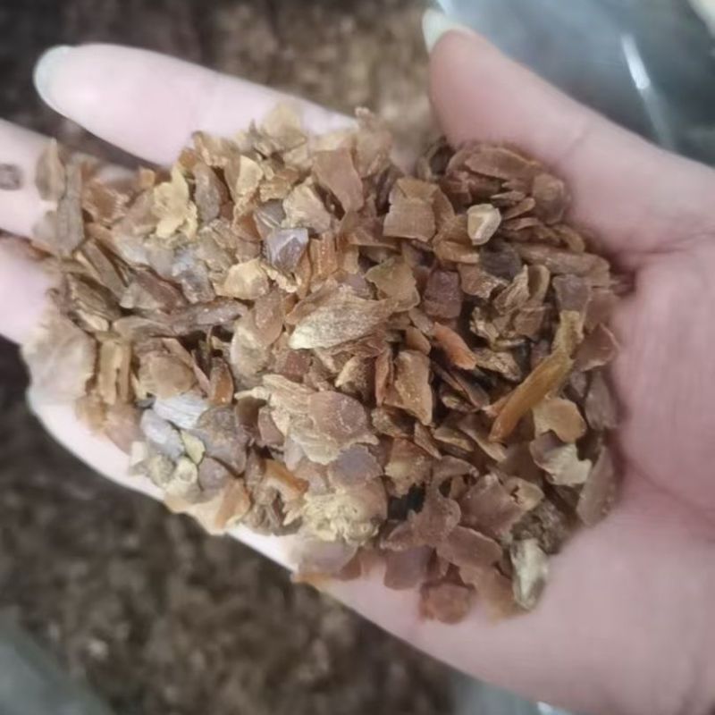 无糖红参碎片，产地一手货源，量大优惠，质量保证，欢迎合作