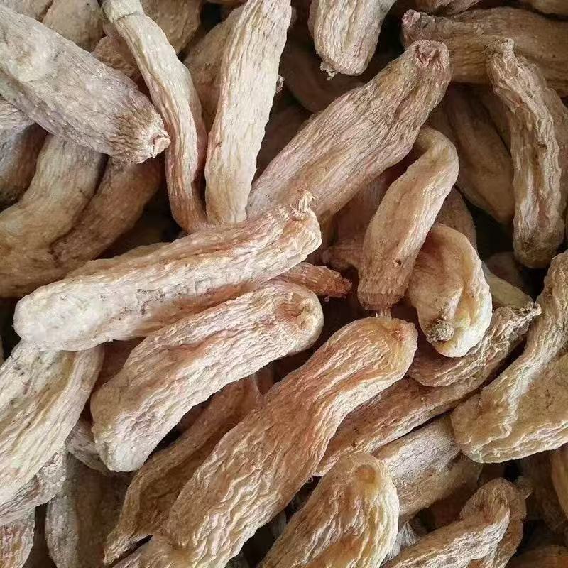 长白山林下天麻，大量有货，可对接全国市场电商平台，欢迎合