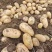 推荐陕西土豆黄心土豆V7货源充足价格实惠实力代发全国