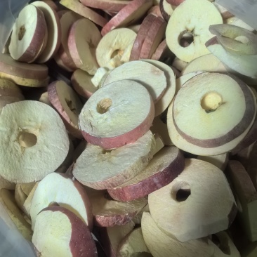 冻干苹果片苹果干品质保证量大从优欢迎联系