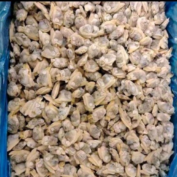纯干速冻大号蛤蜊肉花甲肉文蛤花蛤肉嘎啦肉