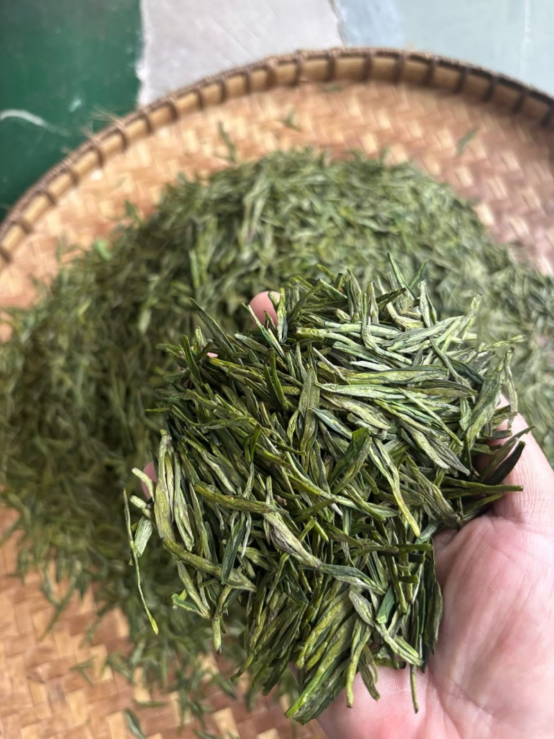 雷山云尖茶