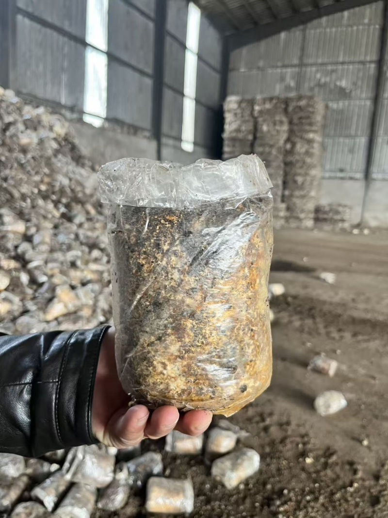 优质有机肥原料鹿茸菇渣货量充足腐熟度好可长期供货