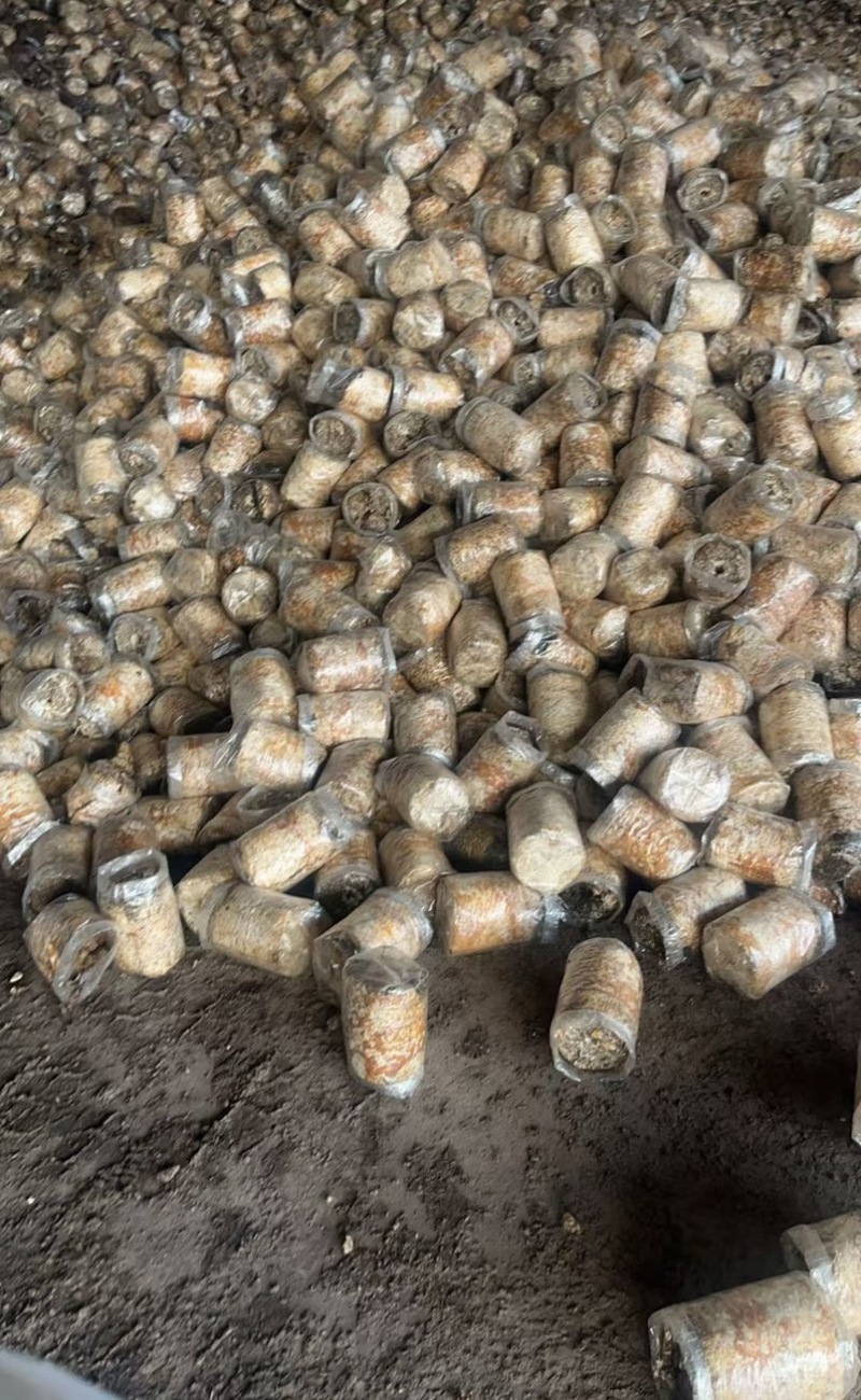 优质有机肥原料鹿茸菇渣货量充足腐熟度好可长期供货