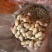 双比重白沙果，颜色好，果粒饱满。