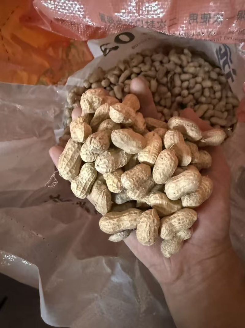 双比重白沙果，颜色好，果粒饱满。