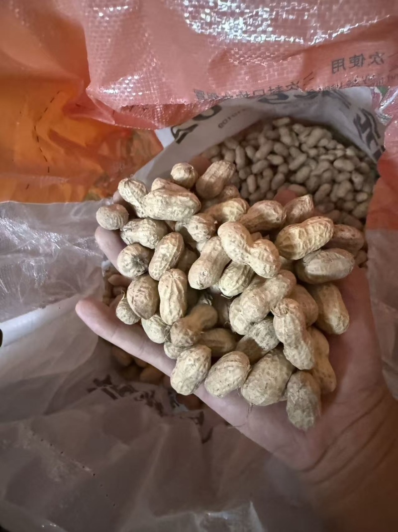 双比重白沙果，颜色好，果粒饱满。