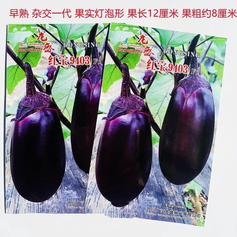 红宝9403茄子种子早熟果面紫红灯泡形绿肉茄子种子