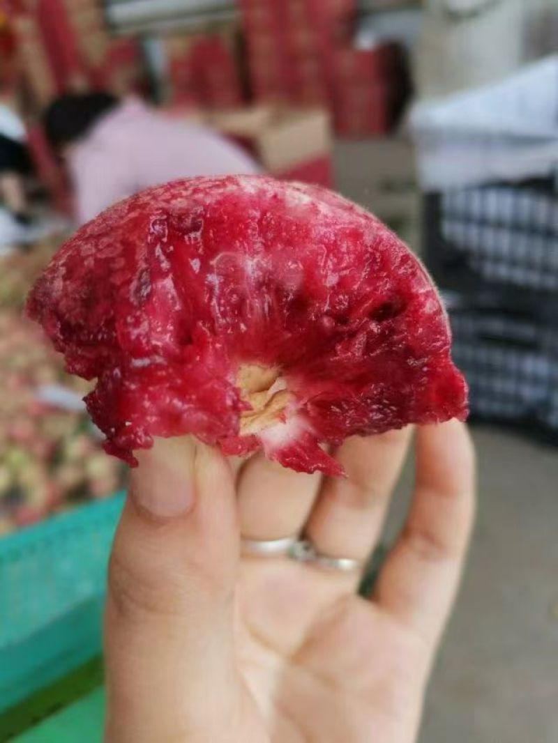 正宗朱砂红血桃自己家的农家果园中的朱砂红又名血桃
