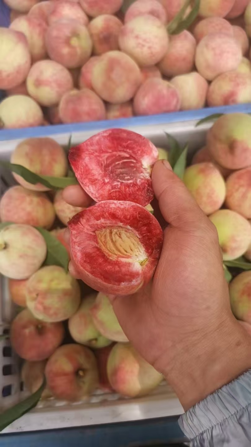 正宗朱砂红血桃自己家的农家果园中的朱砂红又名血桃