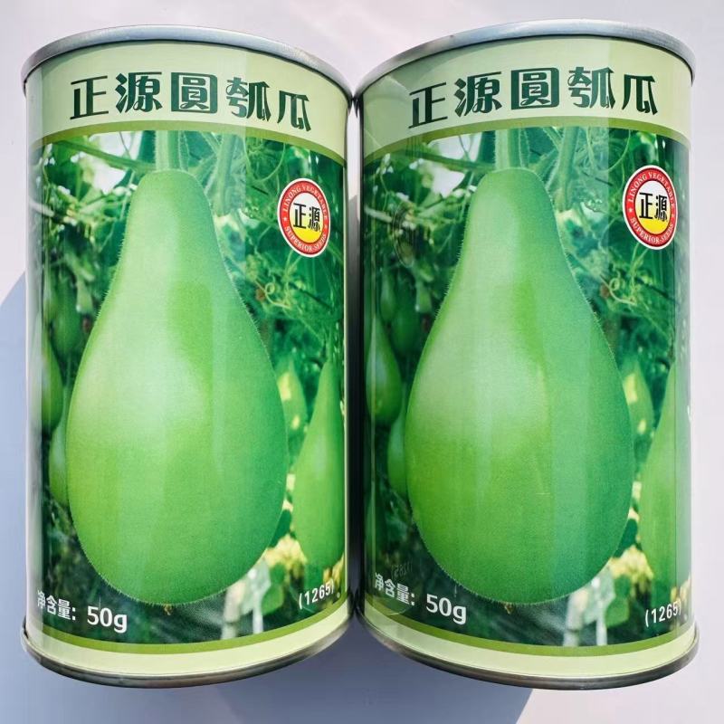 正源圆瓠瓜种子早生杂交抗病油青翠绿食用甜瓠瓜圆蒲瓜瓢瓜蔬
