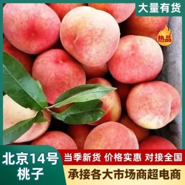 北京14号桃子/基地直发/货源充足/欢迎选购
