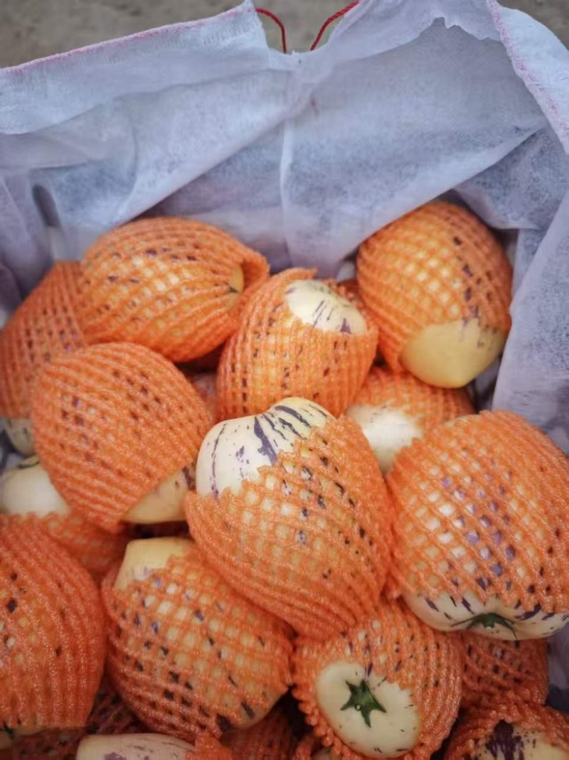 精品人参果全国可发货质量有保障一手货源产地直发