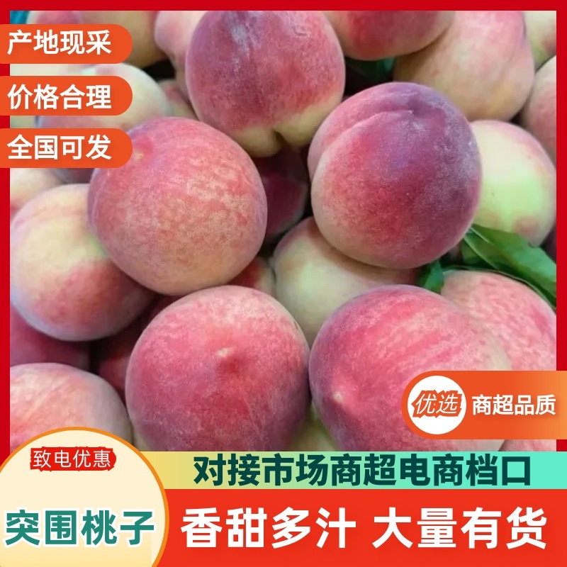 突围桃子/自家果园/货源充足/欢迎选购/大量有货