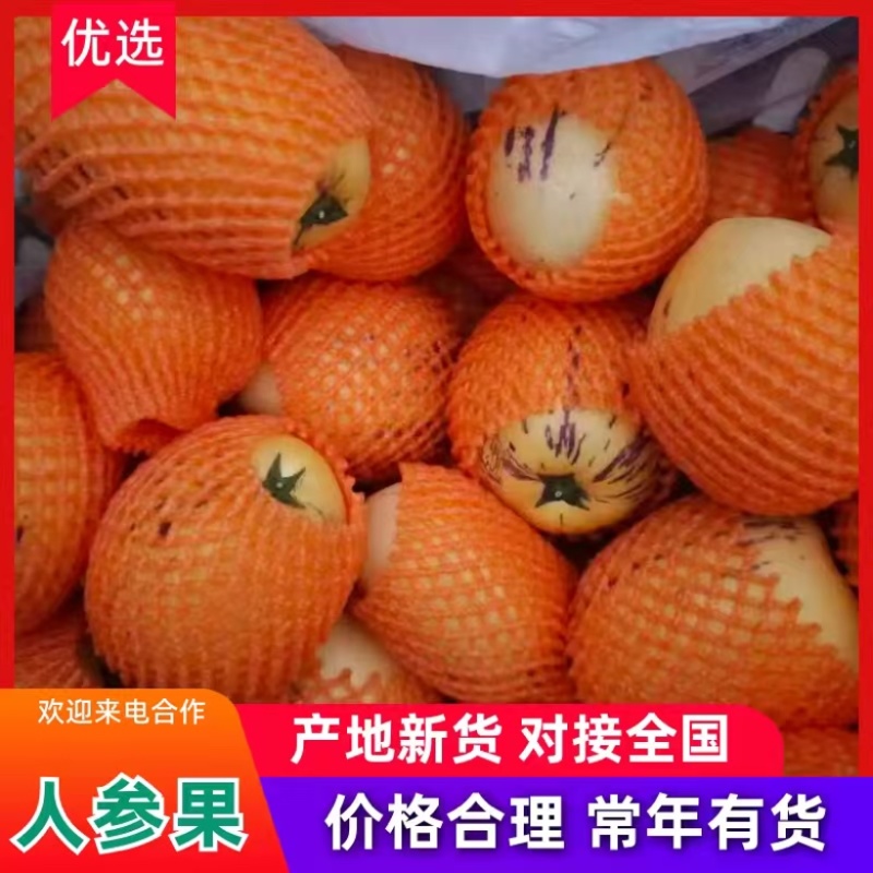 精品人参果全国可发货质量有保障一手货源产地直发