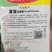 夏宝泰国耐热改良白紧菜花心叶合包免盖椰菜种子白紧花