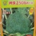 新秀20神良2506西兰花耐热耐寒不易变紫