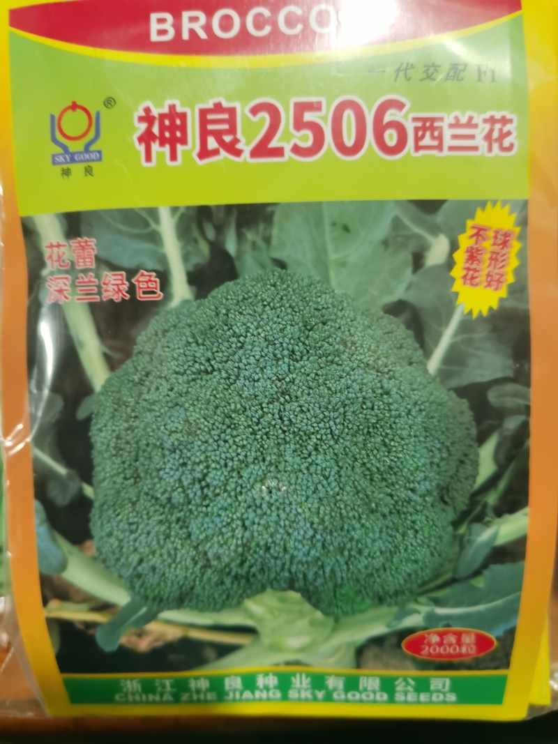 新秀20神良2506西兰花耐热耐寒不易变紫