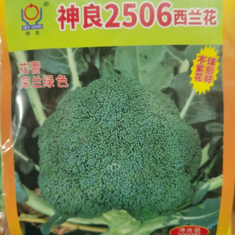 新秀20神良2506西兰花耐热耐寒不易变紫