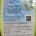 白玉108越冬180松花菜主流品种欢迎新老朋友进店选购