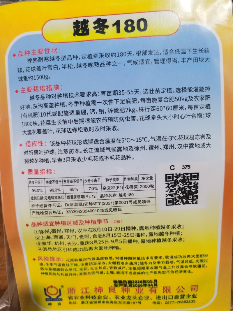 白玉108越冬180松花菜主流品种欢迎新老朋友进店选购
