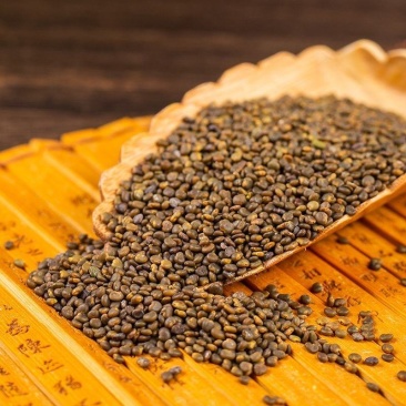 正品沙苑子中药材沙苑籽菟丝子泡茶煮水沙菀子籽药批发零售