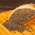 正品沙苑子中药材沙苑籽菟丝子泡茶煮水沙菀子籽药批发零售