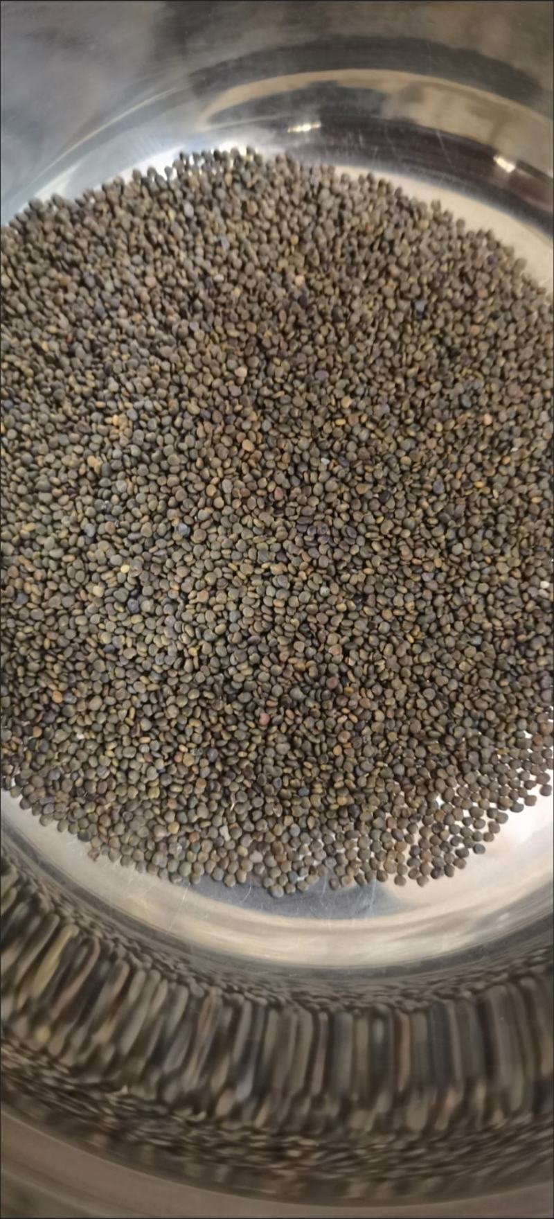 正品沙苑子中药材沙苑籽菟丝子泡茶煮水沙菀子籽药批发零售