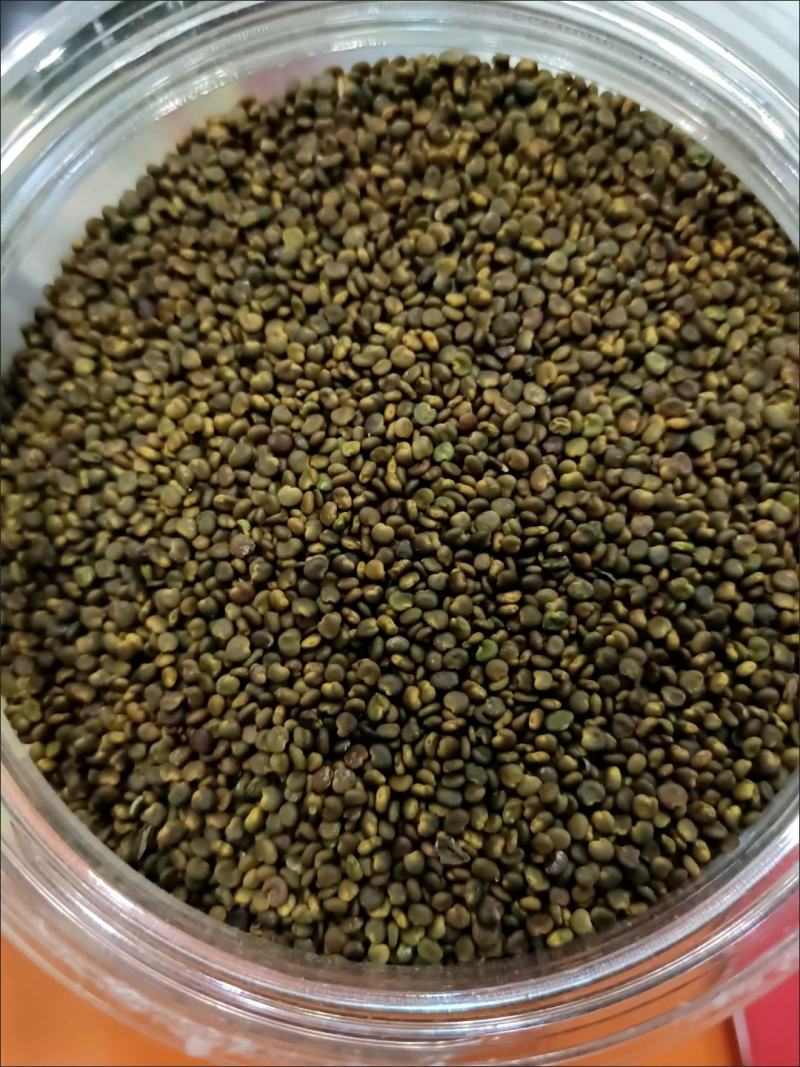 正品沙苑子中药材沙苑籽菟丝子泡茶煮水沙菀子籽药批发零售