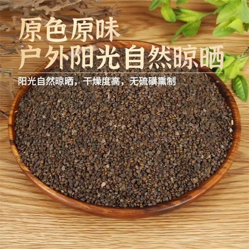 正品沙苑子中药材沙苑籽菟丝子泡茶煮水沙菀子籽药批发零售