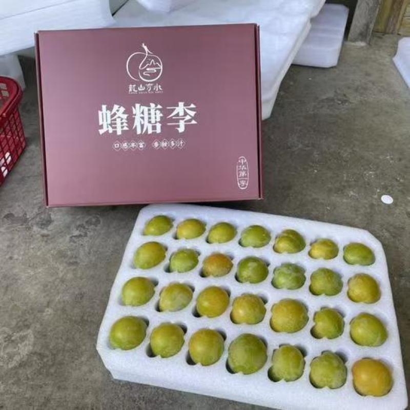 贵州镇宁蜂糖李产地包邮一件代发包售后