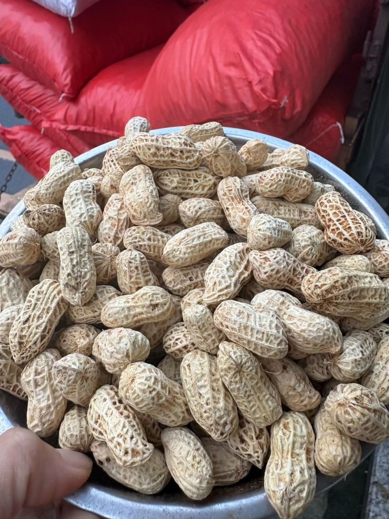 农家水煮花生保留花生原有的清甜和香越吃越想